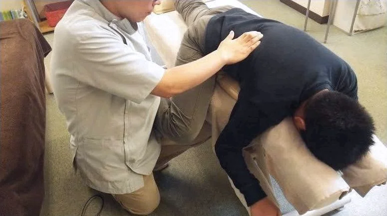 腰方形筋の解説図